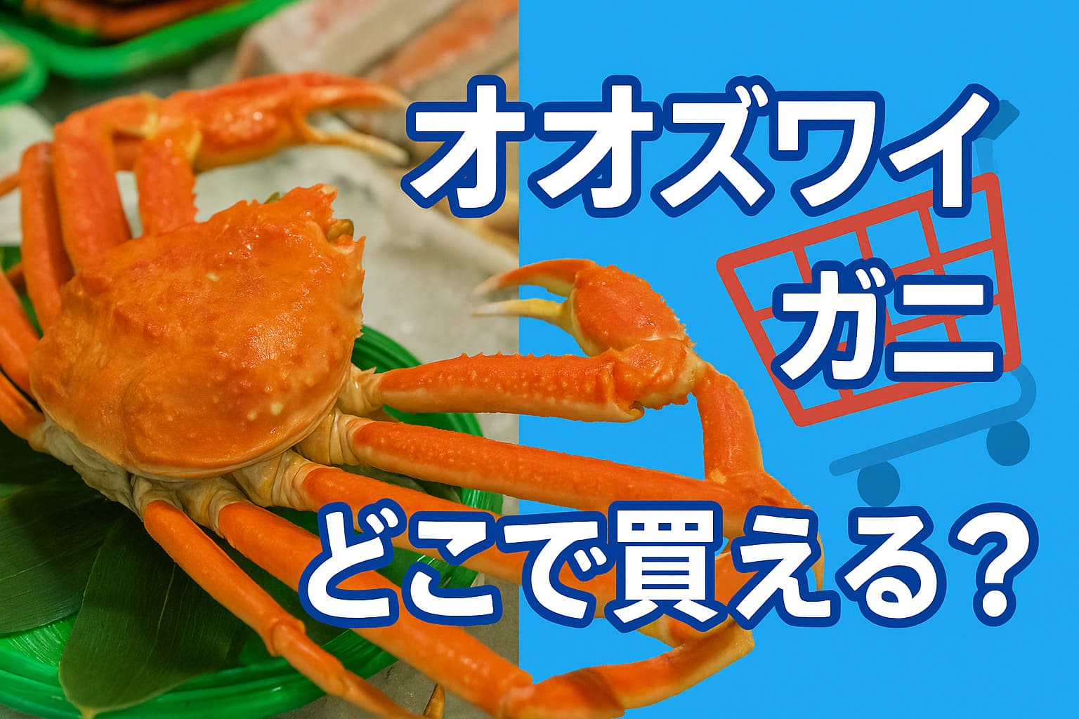 オオズワイガニどこで買える